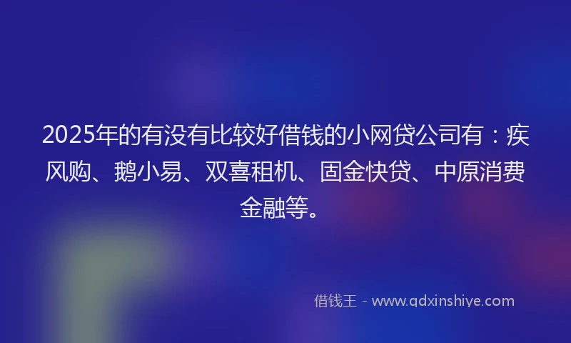 2025年的有没有比较好借钱的小网贷公司有：疾风购、鹅小易、双喜租机、固金快贷、中原消费金融等。