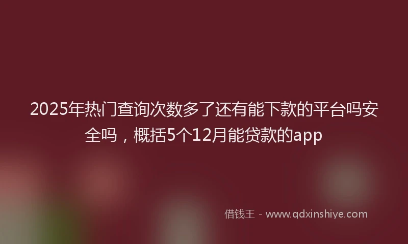 2025年热门查询次数多了还有能下款的平台吗安全吗，概括5个12月能贷款的app
