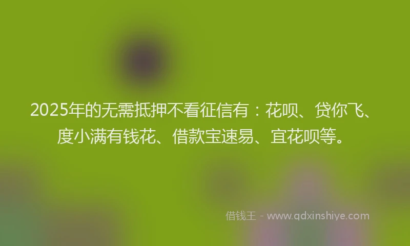 2025年的无需抵押不看征信有：花呗、贷你飞、度小满有钱花、借款宝速易、宜花呗等。