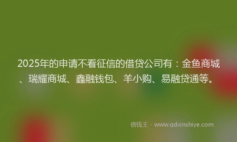 2025年的申请不看征信的借贷公司有：金鱼商城、瑞耀商城、鑫融钱包、羊小购、易融贷通等。