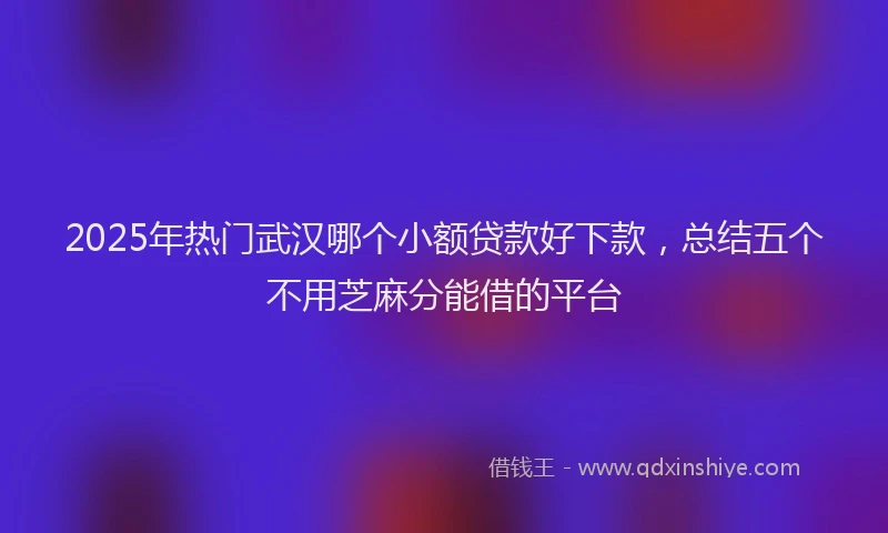 2025年热门武汉哪个小额贷款好下款，总结五个不用芝麻分能借的平台