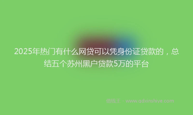 2025年热门有什么网贷可以凭身份证贷款的，总结五个苏州黑户贷款5万的平台