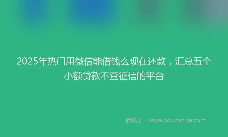 2025年热门用微信能借钱么现在还款，汇总五个小额贷款不查征信的平台