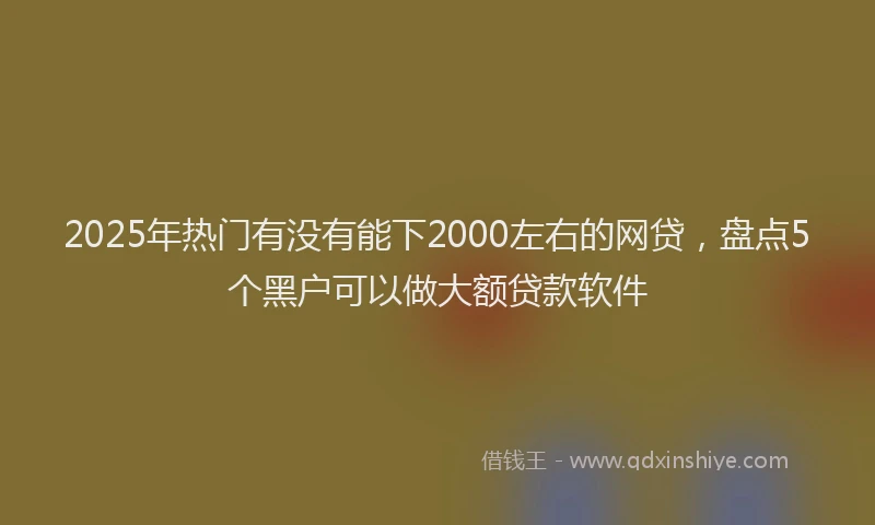 2025年热门有没有能下2000左右的网贷，盘点5个黑户可以做大额贷款软件