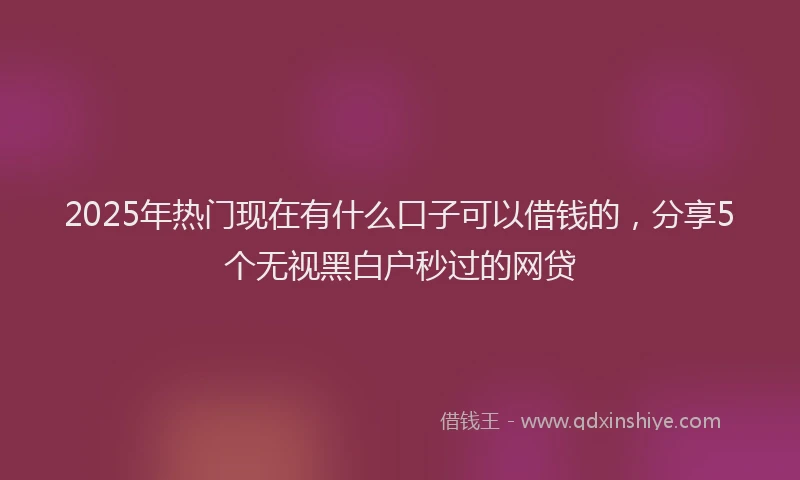 2025年热门现在有什么口子可以借钱的，分享5个无视黑白户秒过的网贷
