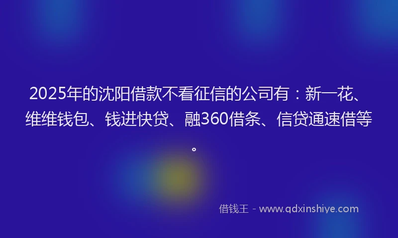 2025年的沈阳借款不看征信的公司有：新一花、维维钱包、钱进快贷、融360借条、信贷通速借等。