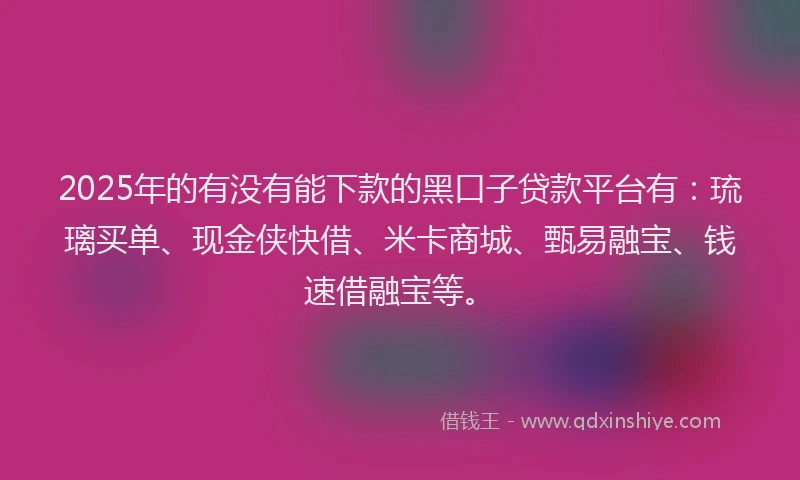 2025年的有没有能下款的黑口子贷款平台有：琉璃买单、现金侠快借、米卡商城、甄易融宝、钱速借融宝等。
