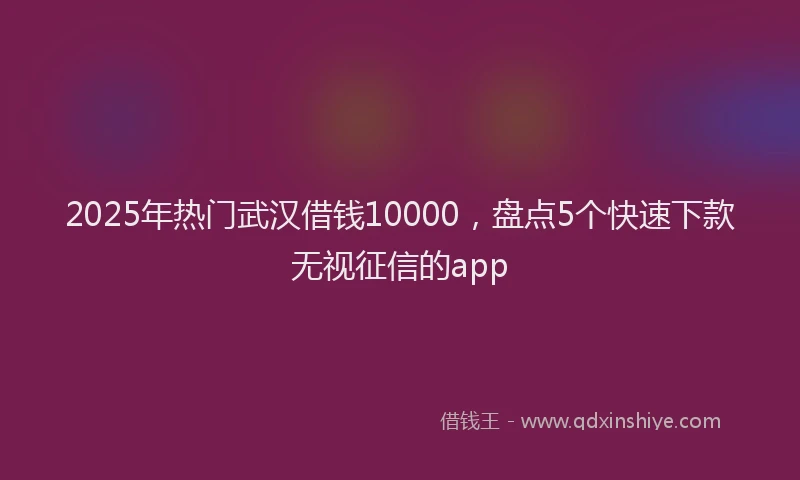 2025年热门武汉借钱10000，盘点5个快速下款无视征信的app