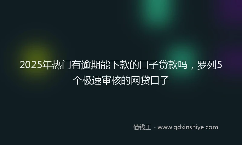 2025年热门有逾期能下款的口子贷款吗，罗列5个极速审核的网贷口子