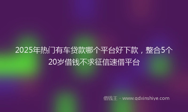 2025年热门有车贷款哪个平台好下款，整合5个20岁借钱不求征信速借平台