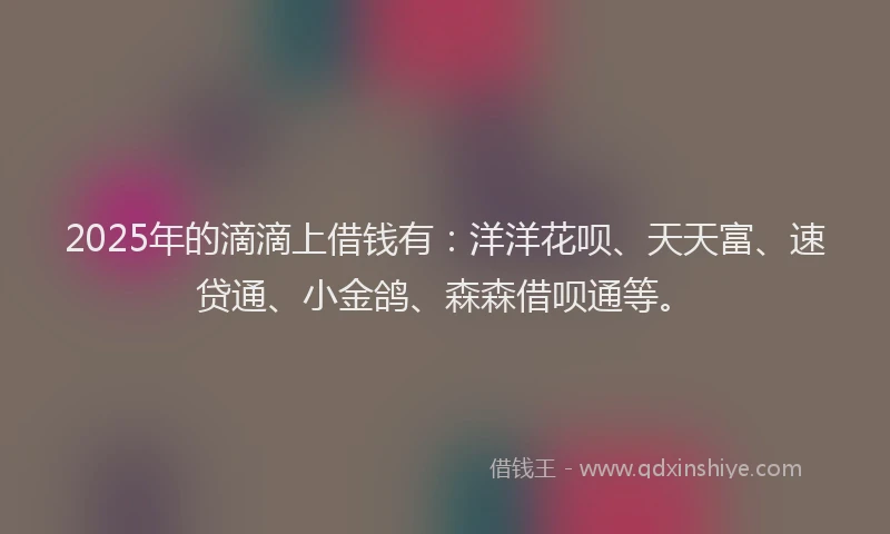 2025年的滴滴上借钱有：洋洋花呗、天天富、速贷通、小金鸽、森森借呗通等。