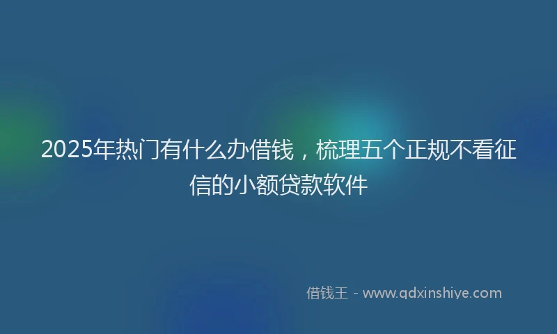 2025年热门有什么办借钱，梳理五个正规不看征信的小额贷款软件
