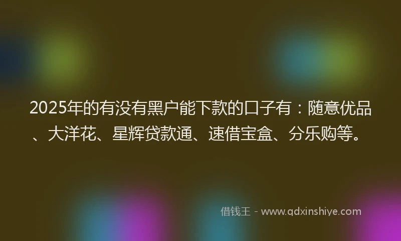 2025年的有没有黑户能下款的口子有：随意优品、大洋花、星辉贷款通、速借宝盒、分乐购等。