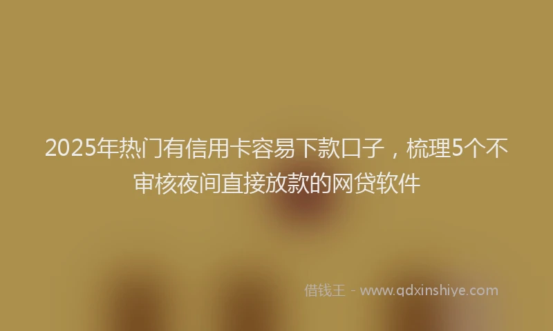 2025年热门有信用卡容易下款口子，梳理5个不审核夜间直接放款的网贷软件