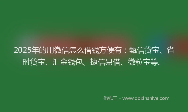 2025年的用微信怎么借钱方便有：甄信贷宝、省时贷宝、汇金钱包、捷信易借、微粒宝等。