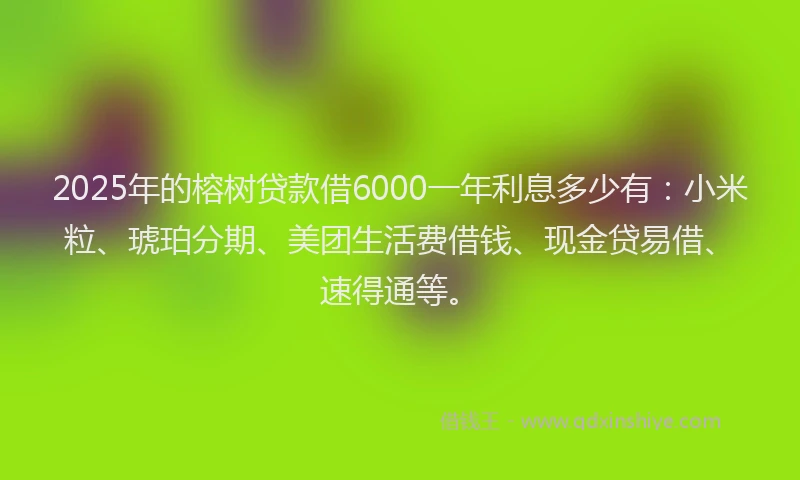 2025年的榕树贷款借6000一年利息多少有：小米粒、琥珀分期、美团生活费借钱、现金贷易借、速得通等。