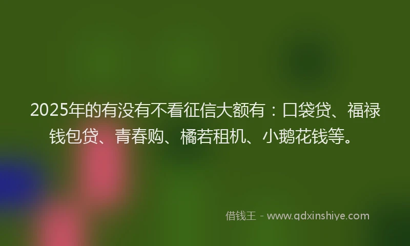 2025年的有没有不看征信大额有：口袋贷、福禄钱包贷、青春购、橘若租机、小鹅花钱等。