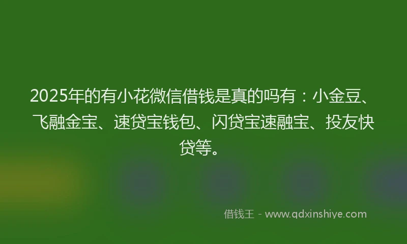 2025年的有小花微信借钱是真的吗有：小金豆、飞融金宝、速贷宝钱包、闪贷宝速融宝、投友快贷等。