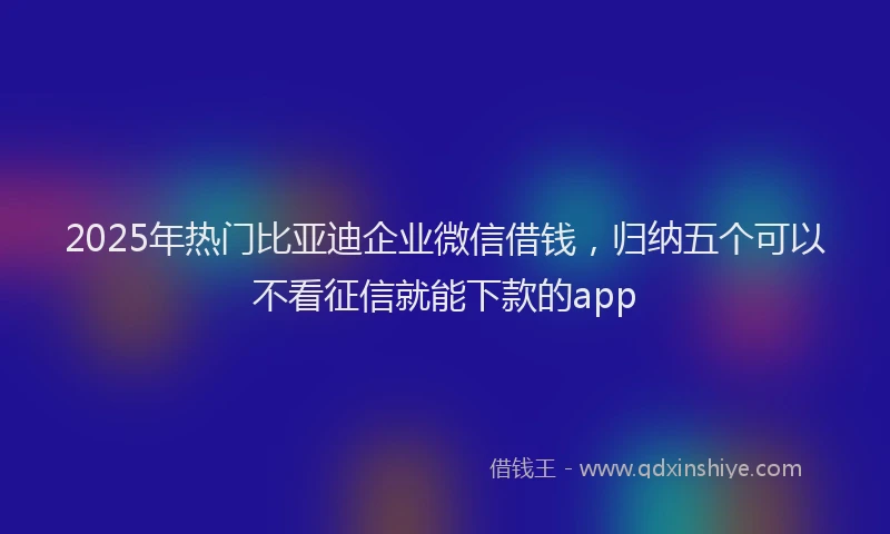2025年热门比亚迪企业微信借钱，归纳五个可以不看征信就能下款的app