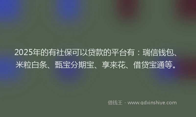 2025年的有社保可以贷款的平台有：瑞信钱包、米粒白条、甄宝分期宝、享来花、借贷宝通等。