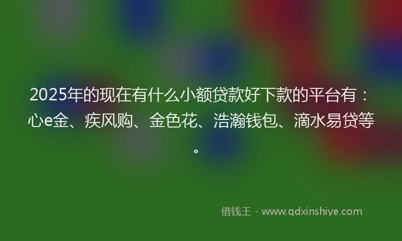 2025年的现在有什么小额贷款好下款的平台有：心e金、疾风购、金色花、浩瀚钱包、滴水易贷等。