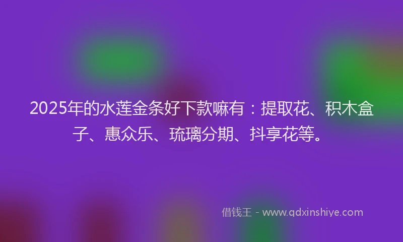 2025年的水莲金条好下款嘛有：提取花、积木盒子、惠众乐、琉璃分期、抖享花等。