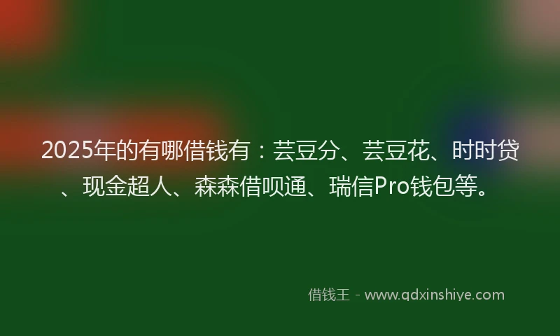 2025年的有哪借钱有：芸豆分、芸豆花、时时贷、现金超人、森森借呗通、瑞信Pro钱包等。