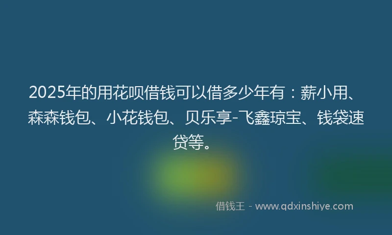 2025年的用花呗借钱可以借多少年有：薪小用、森森钱包、小花钱包、贝乐享-飞鑫琼宝、钱袋速贷等。