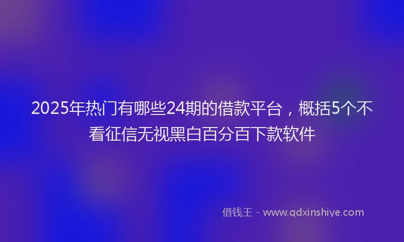 2025年热门有哪些24期的借款平台，概括5个不看征信无视黑白百分百下款软件