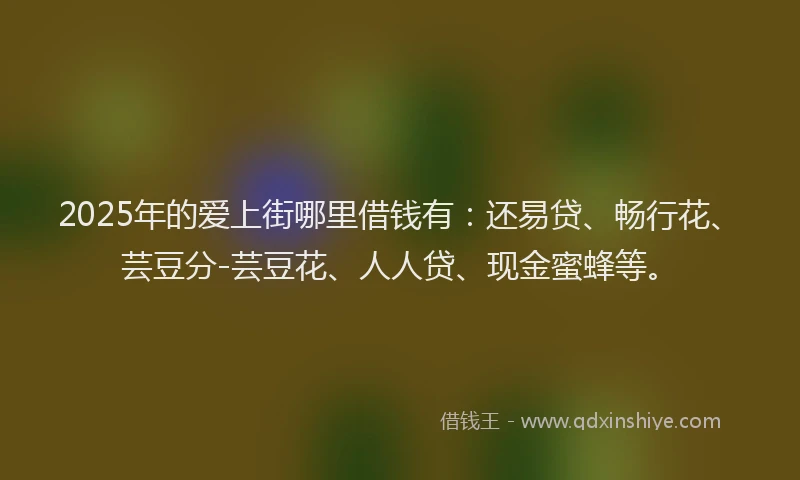 2025年的爱上街哪里借钱有：还易贷、畅行花、芸豆分-芸豆花、人人贷、现金蜜蜂等。