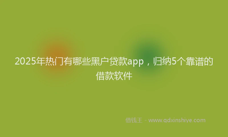2025年热门有哪些黑户贷款app，归纳5个靠谱的借款软件