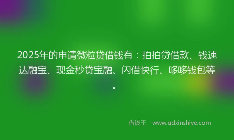 2025年的申请微粒贷借钱有：拍拍贷借款、钱速达融宝、现金秒贷宝融、闪借快行、哆哆钱包等。