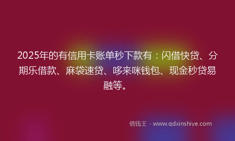 2025年的有信用卡账单秒下款有：闪借快贷、分期乐借款、麻袋速贷、哆来咪钱包、现金秒贷易融等。