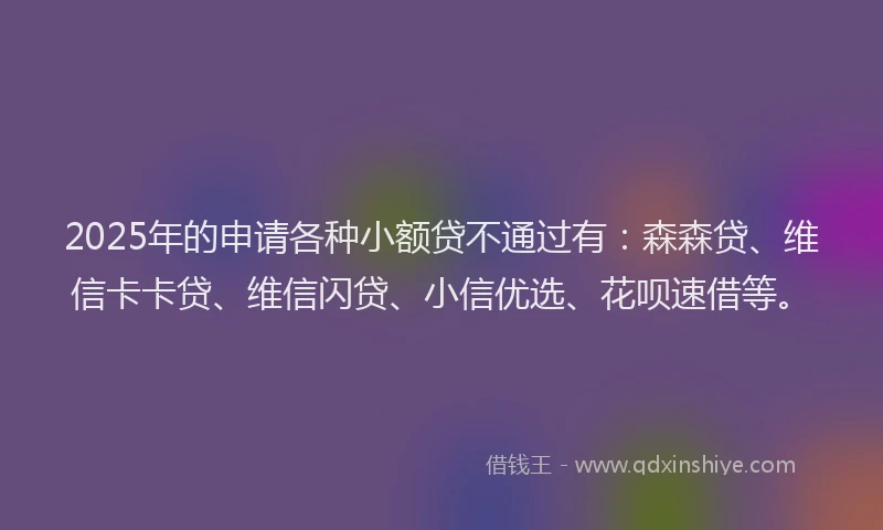 2025年的申请各种小额贷不通过有：森森贷、维信卡卡贷、维信闪贷、小信优选、花呗速借等。