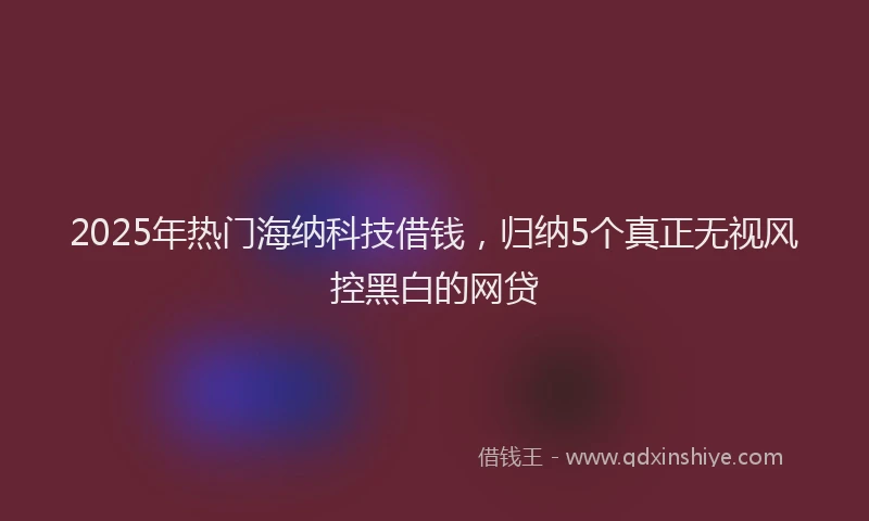 2025年热门海纳科技借钱，归纳5个真正无视风控黑白的网贷