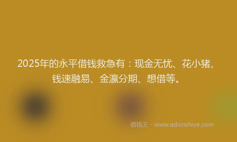 2025年的永平借钱救急有：现金无忧、花小猪、钱速融易、金瀛分期、想借等。