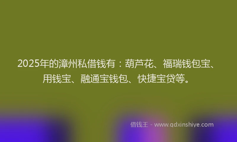 2025年的漳州私借钱有：葫芦花、福瑞钱包宝、用钱宝、融通宝钱包、快捷宝贷等。