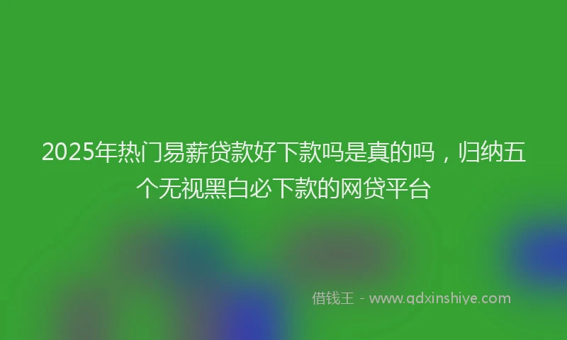2025年热门易薪贷款好下款吗是真的吗，归纳五个无视黑白必下款的网贷平台