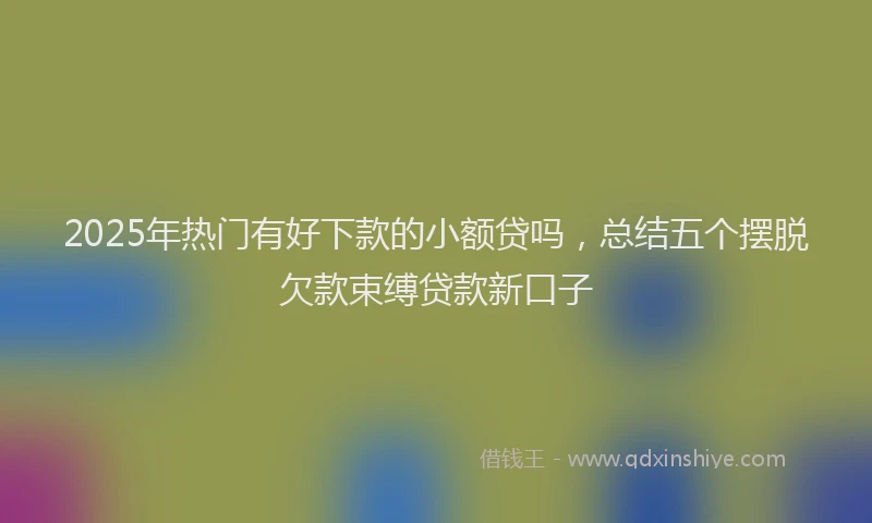 2025年热门有好下款的小额贷吗，总结五个摆脱欠款束缚贷款新口子