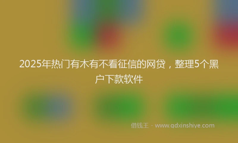2025年热门有木有不看征信的网贷，整理5个黑户下款软件