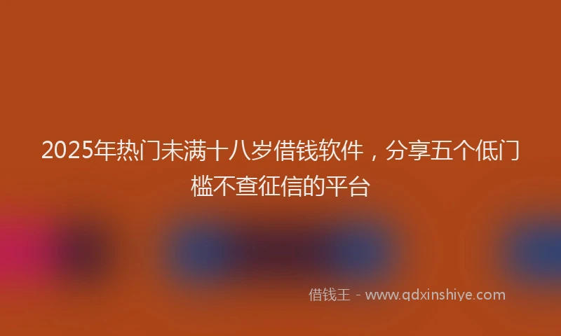 2025年热门未满十八岁借钱软件，分享五个低门槛不查征信的平台