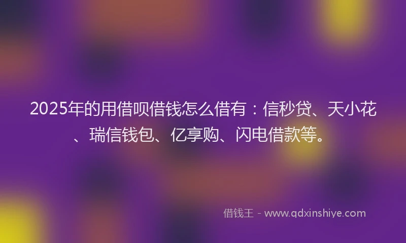 2025年的用借呗借钱怎么借有：信秒贷、天小花、瑞信钱包、亿享购、闪电借款等。