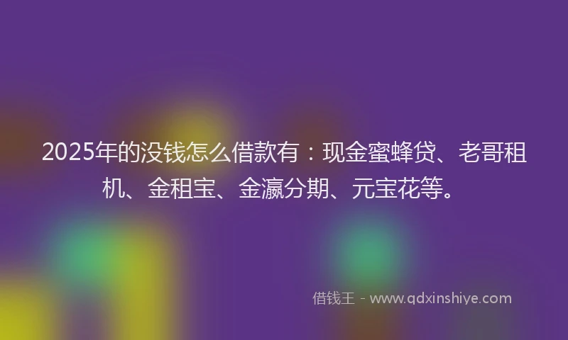 2025年的没钱怎么借款有：现金蜜蜂贷、老哥租机、金租宝、金瀛分期、元宝花等。