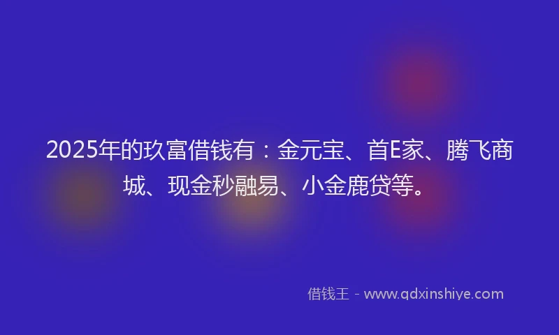 2025年的玖富借钱有：金元宝、首E家、腾飞商城、现金秒融易、小金鹿贷等。