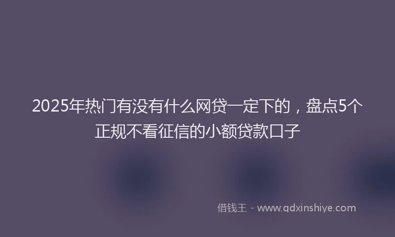 2025年热门有没有什么网贷一定下的，盘点5个正规不看征信的小额贷款口子