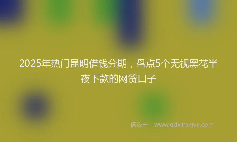 2025年热门昆明借钱分期，盘点5个无视黑花半夜下款的网贷口子