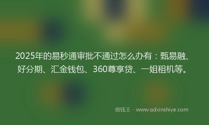 2025年的易秒通审批不通过怎么办有：甄易融、好分期、汇金钱包、360尊享贷、一姐租机等。