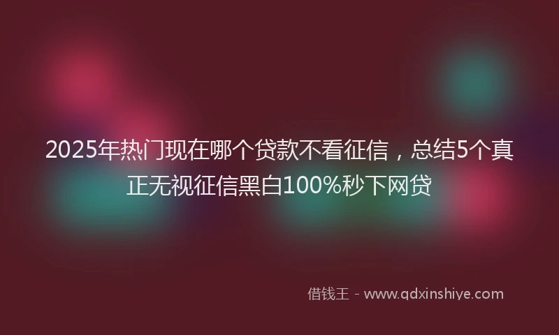 2025年热门现在哪个贷款不看征信，总结5个真正无视征信黑白100%秒下网贷