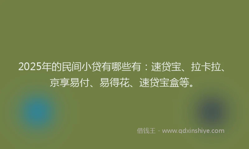 2025年的民间小贷有哪些有：速贷宝、拉卡拉、京享易付、易得花、速贷宝盒等。