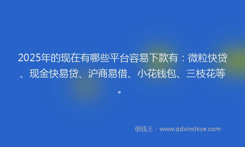 2025年的现在有哪些平台容易下款有：微粒快贷、现金快易贷、沪商易借、小花钱包、三枝花等。